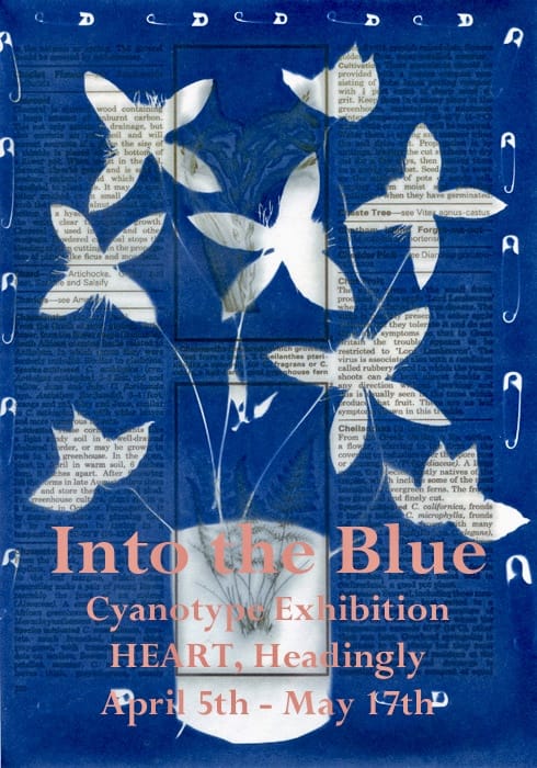 jillsett's tweet photo. Looking forward to getting all my cyanotypes up at Heart tomorrow.
#leeds #headingly #cyanotypes #thephotohour #clematis #sunprints #exhibition https://t.co/6H0cpViD3y