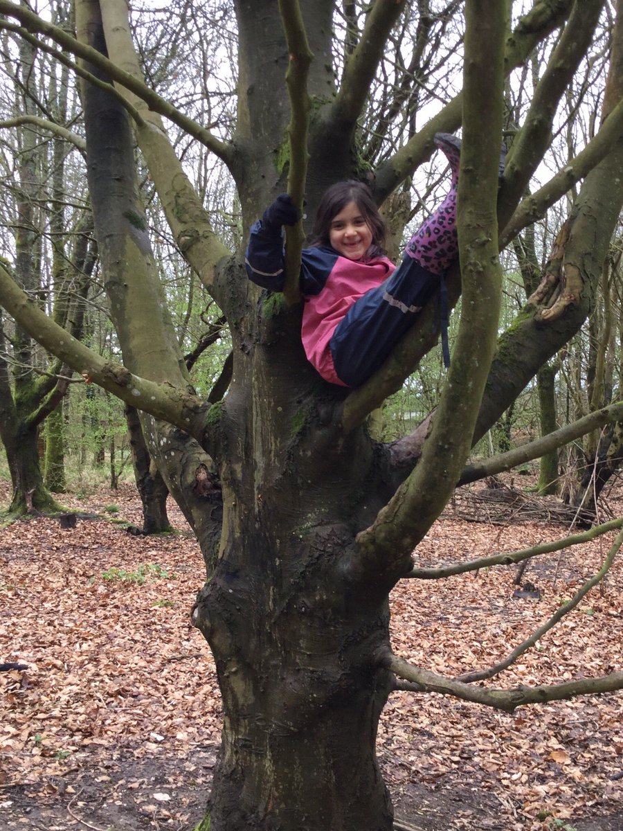 PipersForestSch's tweet image. Year 2 @PipersPrePrep had a busy forest school session climbing trees, building shelters and using the mud kitchen #Forestfun #PipersOutdoors #PipersForest