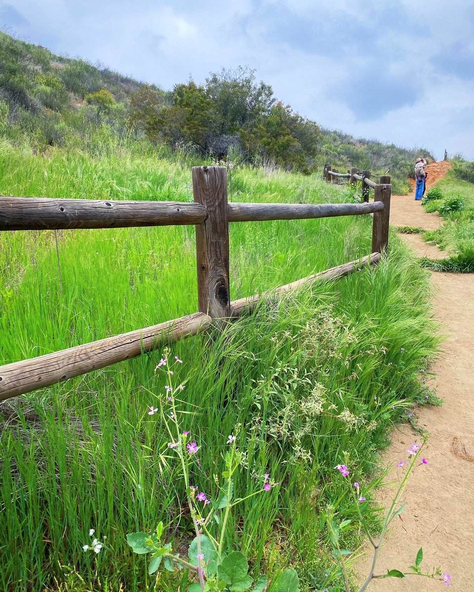 Follow us to greener pastures! 🌿

Lifegrowsgreen.com 

#growwithus #lifegrowsgreen 
<a href="/RealChadPrice/">Chad Price</a> <a href="/bsnscnslt/">BusinessConsultant</a> 
📸: <a href="/mskarhio/">mskarhio</a>