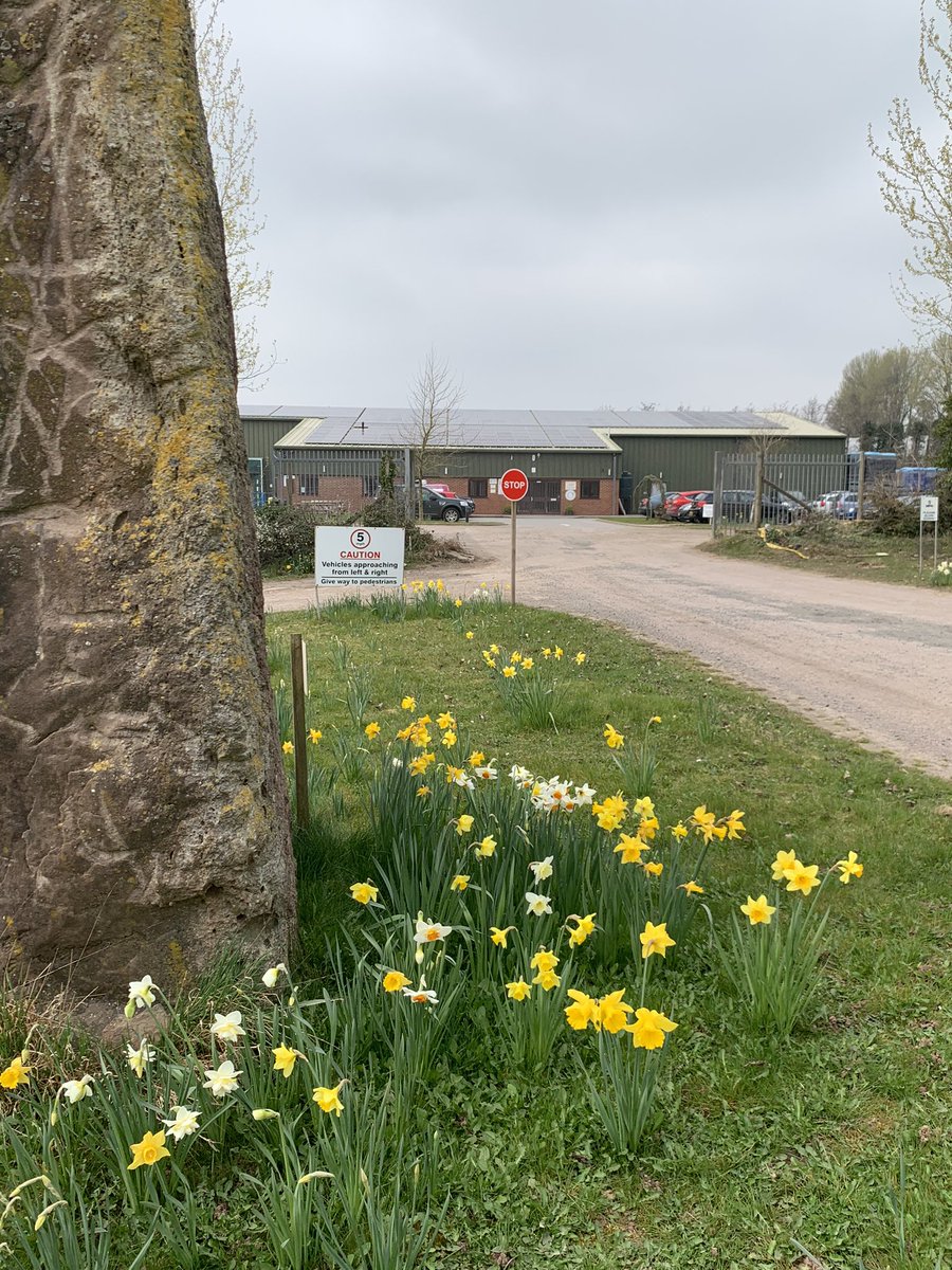 Anthony Snell tweet media