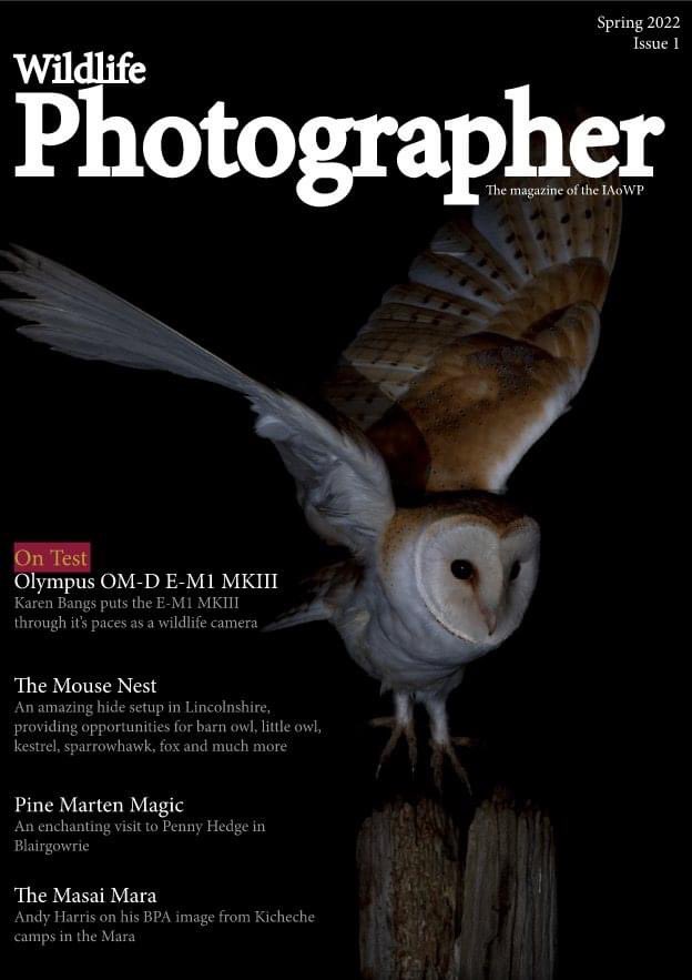 It is live! Visit the IAoWP.com to join and read the issue! <a href="/IAOWP1/">IAOWP</a> @Benro_UK <a href="/UKNikon/">Nikon UK & Ireland</a> <a href="/Nikon1917/">Nikon</a> <a href="/CanonUKandIE/">Canon UK and Ireland</a> <a href="/HOUKLTD/">Highland Outdoors</a>
