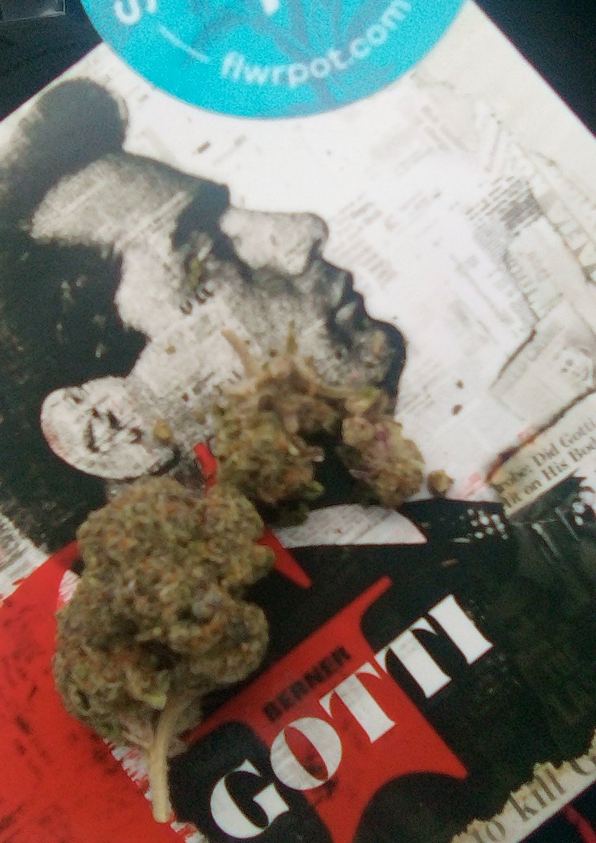 BlissfieldBall's tweet photo. @CookiesMich @cookiesglobal Why can't the #CannabisIndustry have Battle's like #hiphop ?? what's that @Therealkiss said.."your new CDs a weed plate.. something to break up buds on,. you should just sell clothes and sneakers.."๐คฃ.. #HashBashCup๐
@cookiesglobal ๐๐คฃ๐ช๐ฝ https://t.co/sqMe4OE13S