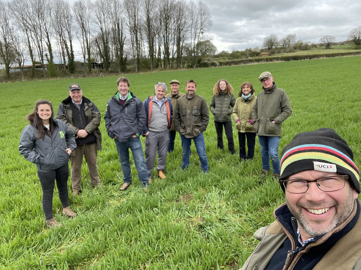 Jake Freestone tweet media