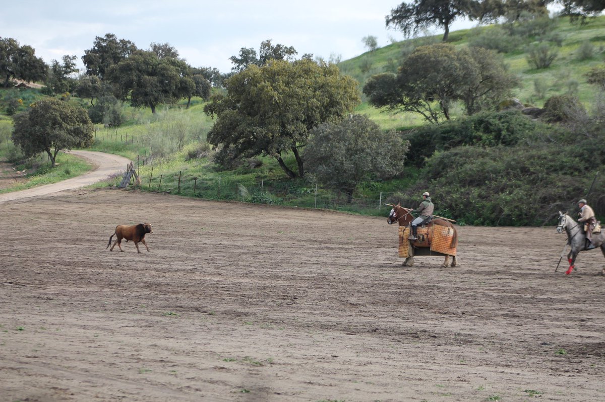 Gracias <a href="/DFelFandi/">David Fandila</a> #manuelsanchez #domingovalencia #mjbernal