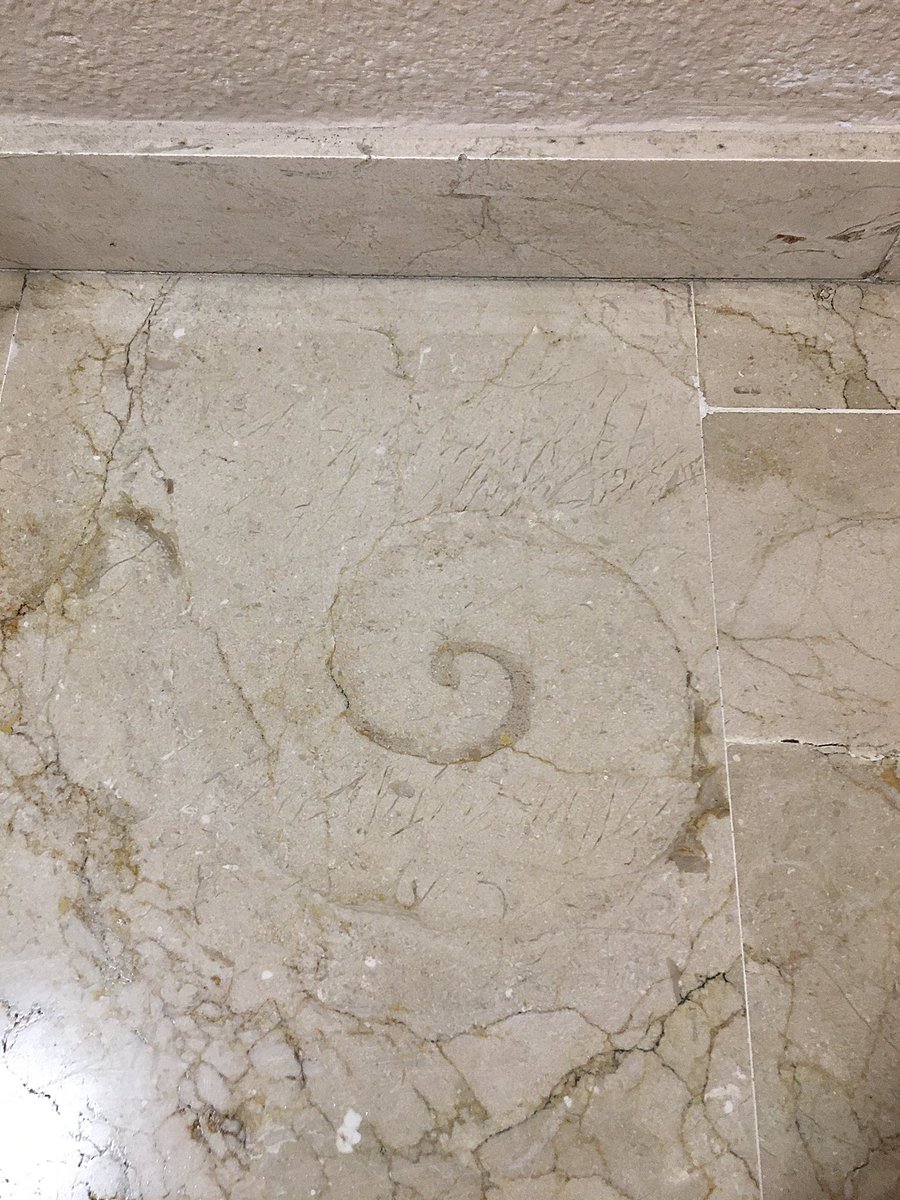 Portillero's tweet photo. Nuevo descubrimiento en casa . Qué será ??. #urbangeology #urbanfossils #UrbanPalaeontology #PavementGeology #limestone #paleontology #fossils #PaleontologiaUrbana #PaleoUrbana https://t.co/goxOiCYDmQ