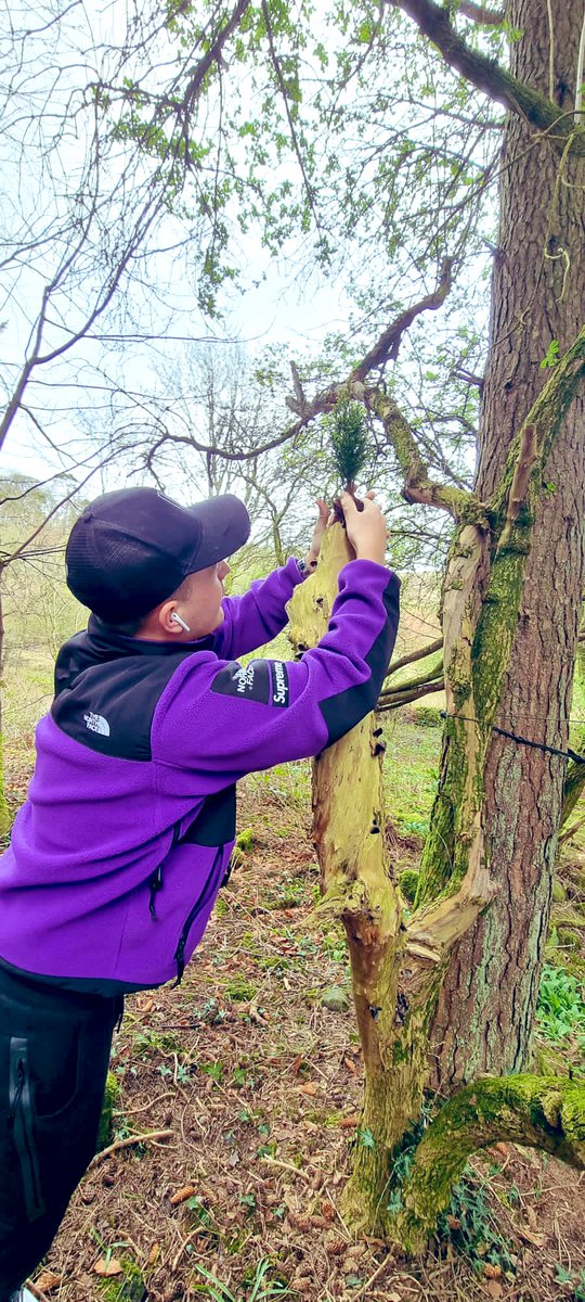 Fantastic first session in the woods today with <a href="/DavidGalbonsai/">David Galbraith</a> and Delma @FestivalG20 Were loving the bonsai creation made by one of the young people in collaboration with <a href="/DavidGalbonsai/">David Galbraith</a> <a href="/EastDunVA/">EDVA</a>  #MentalHealthMatters #Wellbeing #NatureUnsungHero