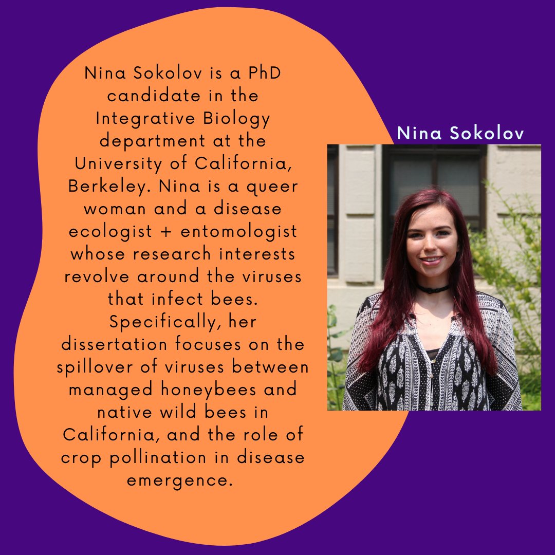 MSU Pride Community Centre tweet media