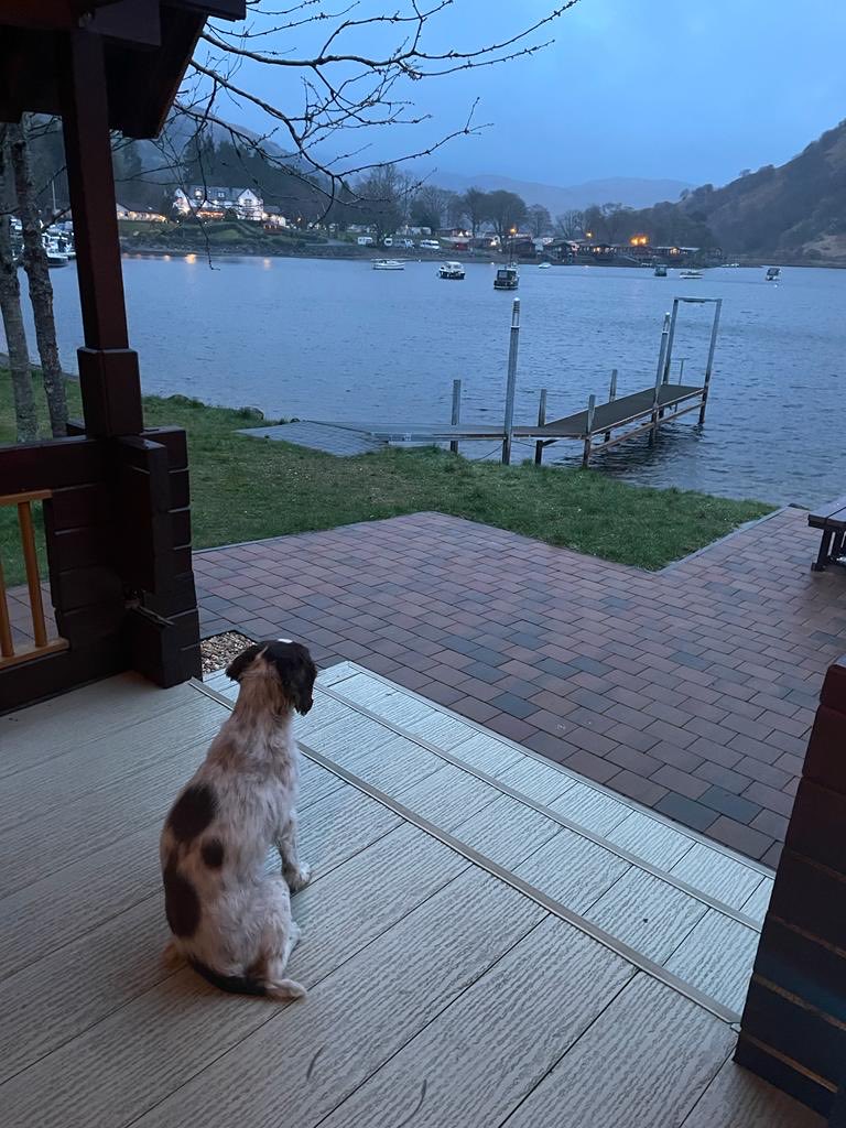 lor_maguire's tweet photo. Home for the week 🥰 Rufus dog, half deaf but he can still hear the geese on the other side of the Loch https://t.co/zUNw1vkOmH