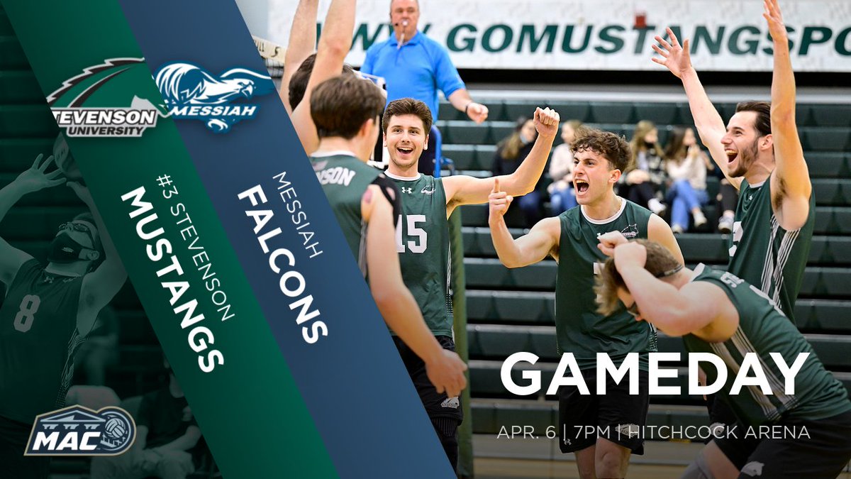 .<a href="/SUMVB/">SU Men's Volleyball</a> travels to Messiah for postseason conference play tonight!

⌚: 7pm
📹: bit.ly/36Pr9Cq
🏟: Hitchcock Arena

#d3vb #mensvb  #StangNation