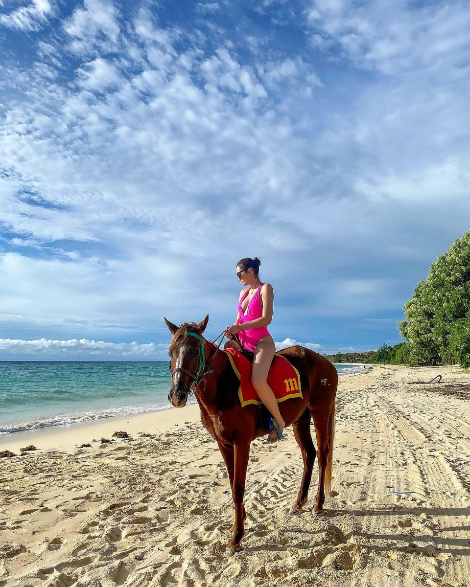 Michamith's tweet image. How i wish to ride again in this horse🐎#horsebackriding #fyp #foryoupage