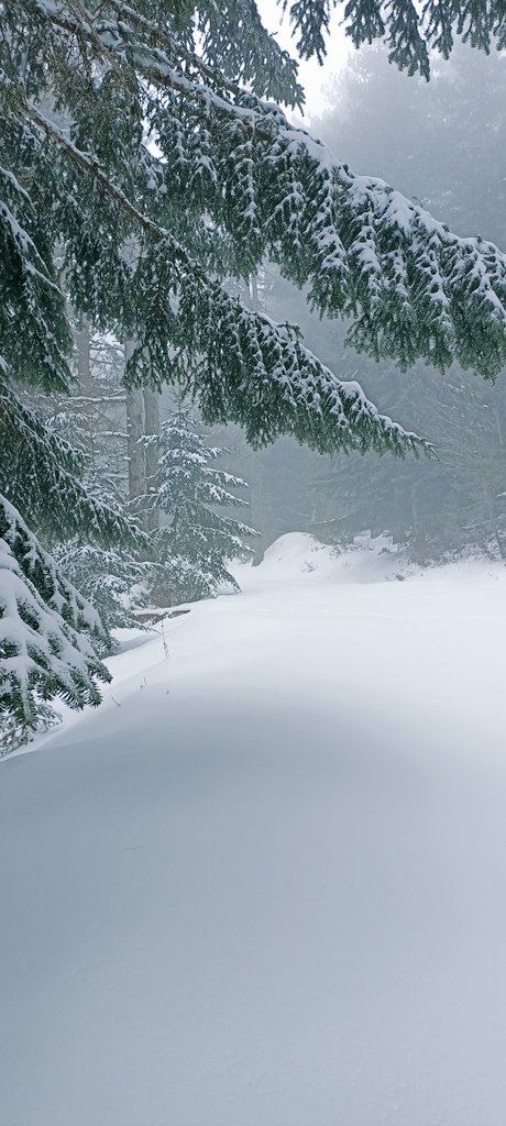 Santoni_Hydro's tweet photo. Comment la #neige ❄️ contribue à la recharge des #eauxsouterraines💧et au débit des #rivières 🏞️ de #Corse ? L'analyse des #isotopes ⚛️ et de la #geochimie 🧑‍🔬 de #divers réseaux hydrographiques apporteront des réponses dans le cadre de #gerhyco ! @UnivCorse @CNRS_dr12 @Lab_SPE https://t.co/rpqlbzdtU1