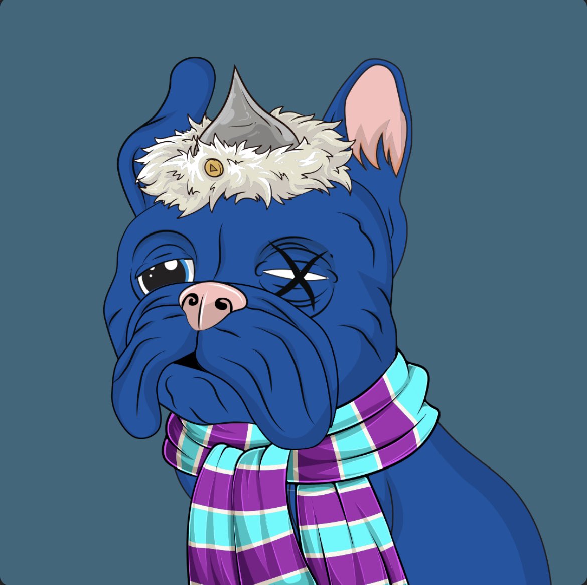 cassiuscrypt0's tweet photo. Finally had to join the @solpuppypound  gang , if you’re in the SPP 🦴 community let’s connect! Show me your NFTs 🤞🏽 #SolanaNFT #Solana https://t.co/Lqdocri3zf
