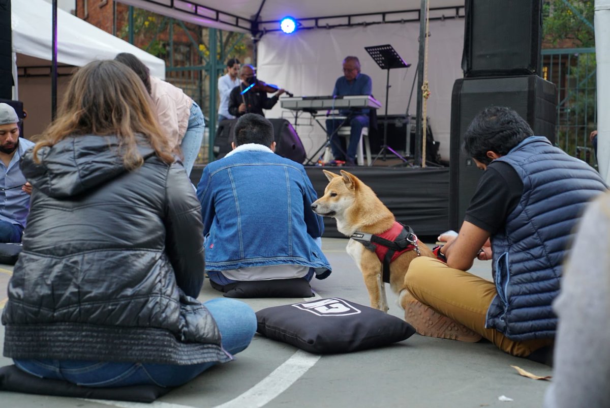 CulturaenBta's tweet photo. Luego de 4 días de experiencias gratificantes y mucha creatividad, finalizó #DistritoCH a Cielo Abierto. Agradecemos a las personas que nos acompañaron en el Parque Portugal y sus alrededores, durante las actividades que nos reunieron en familia en torno a la cultura.
#SomosREDD https://t.co/0EnnX1NAax