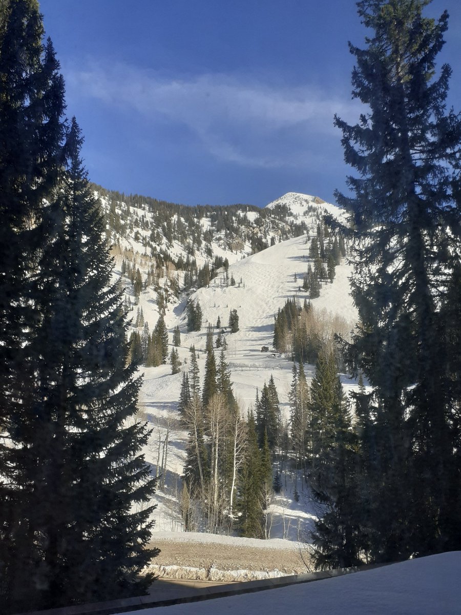 Kemper Complement Lab (@ckemperlab) on Twitter photo The <a href="/KeystoneSymp/">Keystone Symposia</a> Innate Immunity: Complement and Beyond has finally started here in beautiful Snowbird. Looking forward to three wonderful days filled with exciting new insights into complement research! #KSINNATECOMP22 #Complementbiology The <a href="/KeystoneSymp/">Keystone Symposia</a> Innate Immunity: Complement and Beyond has finally started here in beautiful Snowbird. Looking forward to three wonderful days filled with exciting new insights into complement research! #KSINNATECOMP22 #Complementbiology