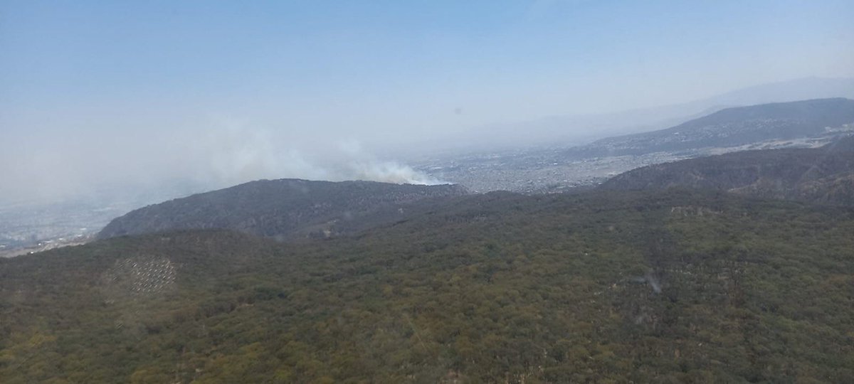 Meganoticias's tweet photo. #TomaTusPrecauciones Reportan #IncendioForestal en paraje #ElColli, dentro del #ANP @BosquePrimavera, en #Zapopan. Combaten @SemadetJal, @CONAFOR y @UMPCyBZ con apoyo de #Witari y #Tláloc
En total combaten 63 elementos de los tres niveles de gobierno.
💻https://t.co/9jOQ3EQCam https://t.co/CzT9MDyInL