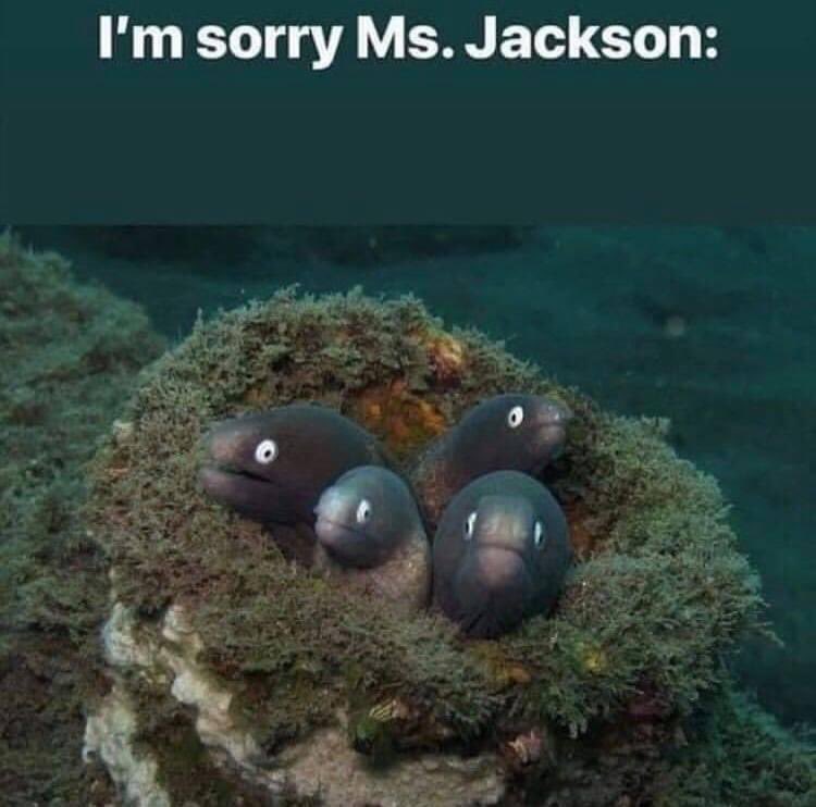 Mystery Tackle Box tweet media