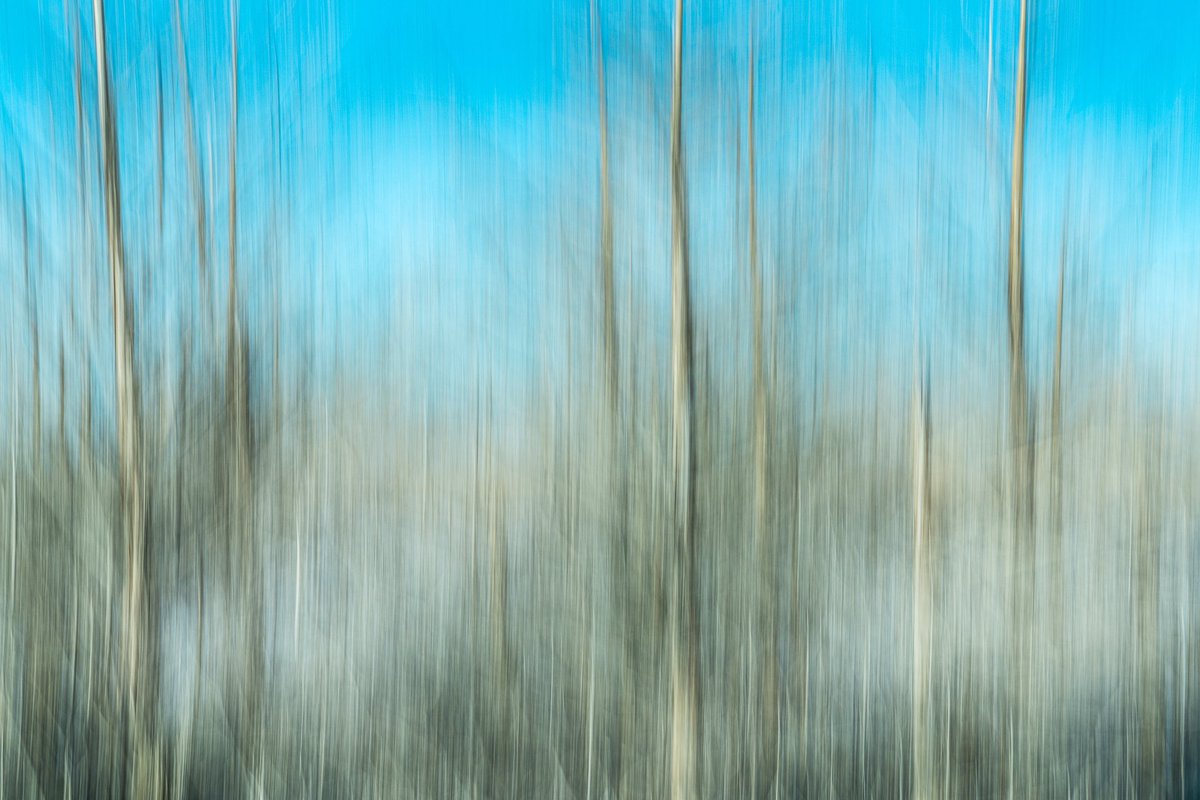 Gary Harris (@garyharrisimage) on Twitter photo GM all! This is one of my new ICM shots called “Into The Grey”.
What do you think?
<a href="/SonyAlpha/">Sony | Alpha</a> <a href="/ReallyRightStuf/">Really Right Stuff</a> GM all! This is one of my new ICM shots called “Into The Grey”.
What do you think?
<a href="/SonyAlpha/">Sony | Alpha</a> <a href="/ReallyRightStuf/">Really Right Stuff</a>