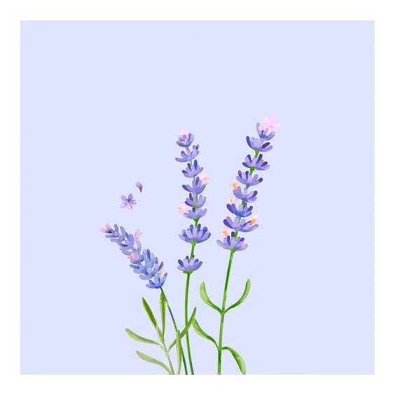 MCastigada's tweet photo. #ReddeReparación #MamaEstáCastigada #JusticiayReparación
🌼🌺🌸Flores xa recuperar la vida arrebatada al arrancarle a sus pequeñas mediante orden judicial irregular + el ensañamiento policial 🌸🌺🌼 Por la recuperación del vínculo de Sara BB y sus hijas💞 https://t.co/rklRPGQosK https://t.co/IoIlc1qfsx
