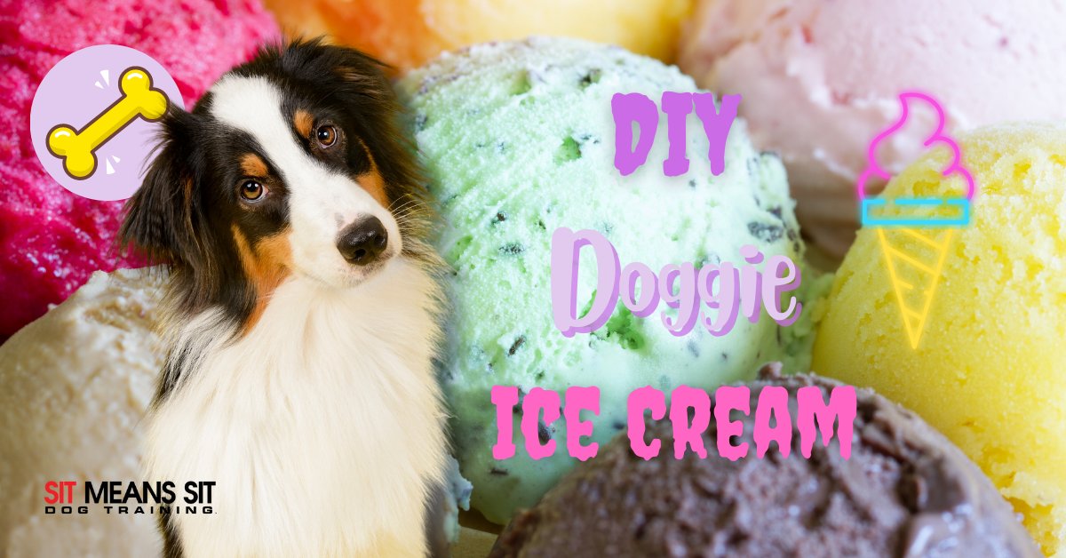 smsswlv's tweet photo. The Best Dog-Friendly Ice Cream Recipes | https://t.co/jdGjL10jTo https://t.co/2cYqvUGxsL