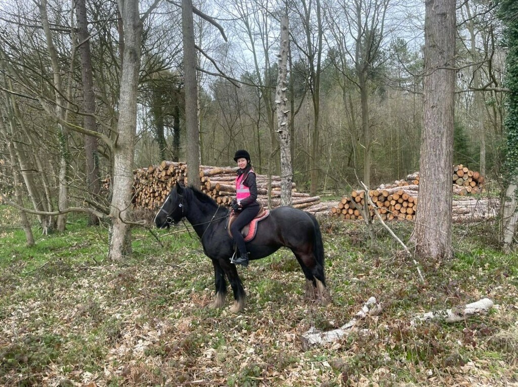 PonyTrek's tweet photo. Jenny starting off her riding holiday with a speedy 2.5 hour forest trek with Sassy! 🐎😁 .
.
.
#horseride #horseriders #horseriding #horseback #horsebackriding #horsetrek #horsetrekking #ponytrek #ponytrekking #horsehack #horsehacking #hackingout #trailriding #trailridingadve… https://t.co/JlYWaT5oHu