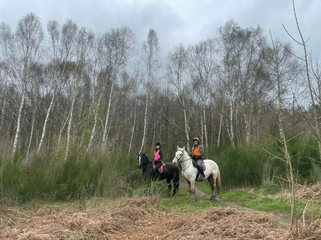 PonyTrek's tweet photo. Well done to our 2.5 hour forest trekkers this afternoon! Not sure who enjoyed themselves the most 😜🐎😁 .
.
.
#horseride #horseriders #horseriding #horseback #horsebackriding #horsetrek #horsetrekking #ponytrek #ponytrekking #horsehack #horsehacking #hackingout #trailriding #… https://t.co/4svqBACo8G