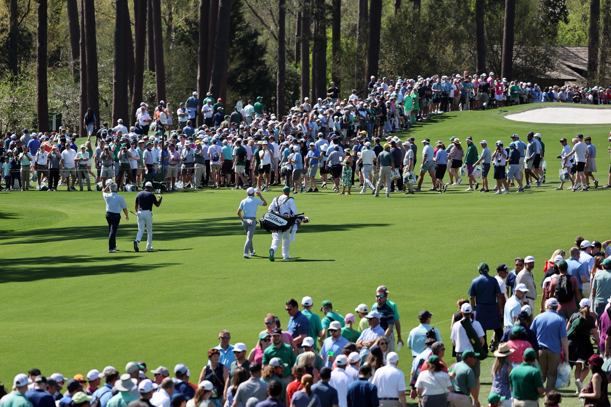 on Twitter "The patrons go where Tiger goes https//t.co