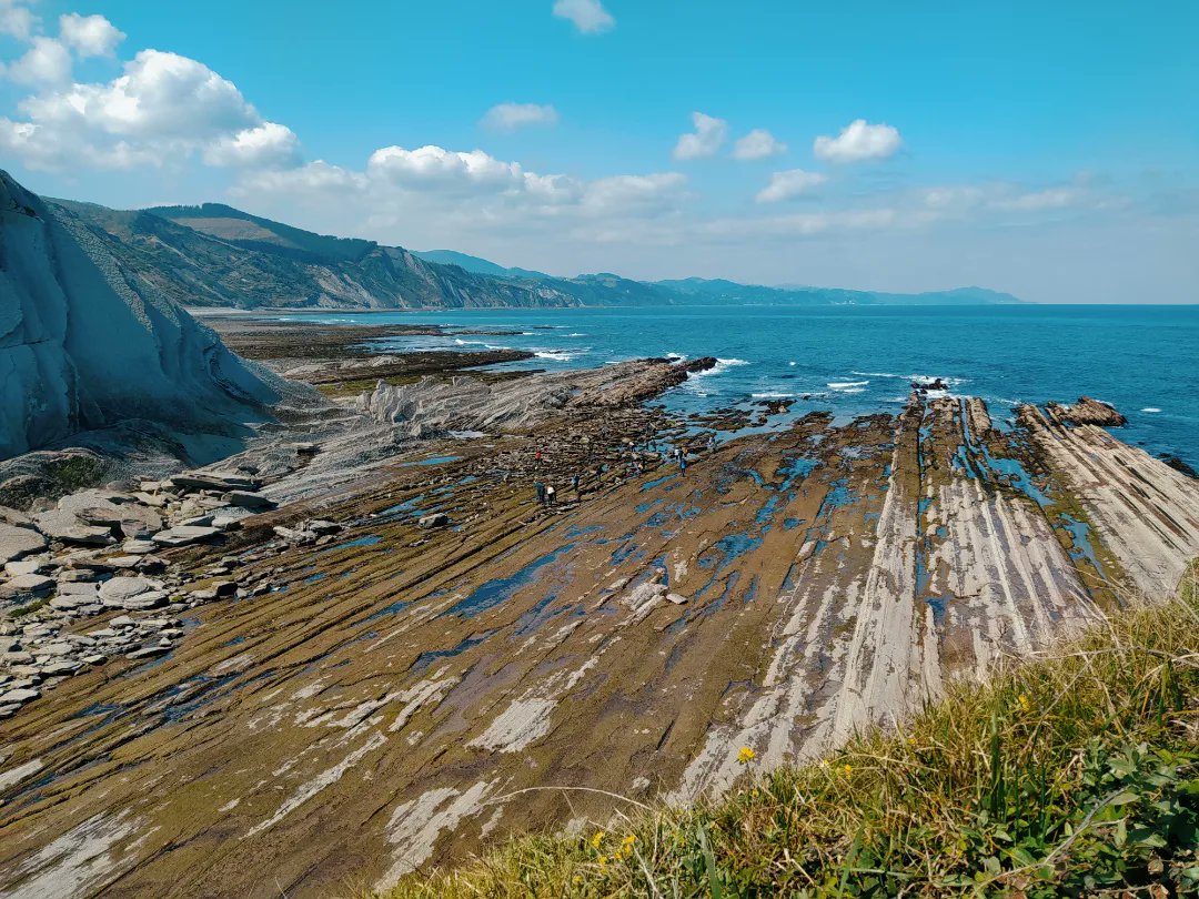 AlgorriZumaia's tweet photo. Zeinen polita zaren, Algorri😍 eta zeinen jatorra @Urola_Ikastola -ko ikaslegoa😊 Laster arte! 🦀🐟🐙
#geoparkea #algorri #algorrizentroa https://t.co/pcIziXFXBW