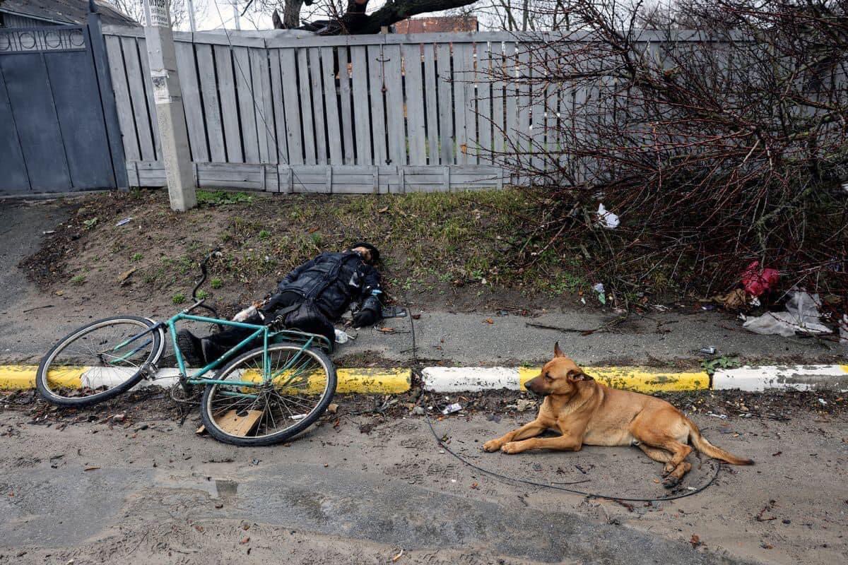 CLamSanctioned's tweet photo. Are these human behaviour? NO!!! #UkraineUnderAttaсk https://t.co/T9ANBq9wAg