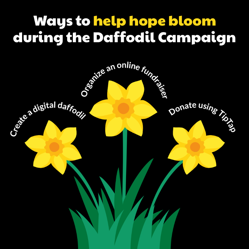 cancersociety's tweet photo. This spring, help hope bloom for Canadians affected by cancer through our #DaffodilCampaign. 💛 From honouring a loved one with a digital daffodil to creating an online fundraiser, learn how you can join us in making a difference. ⬇️