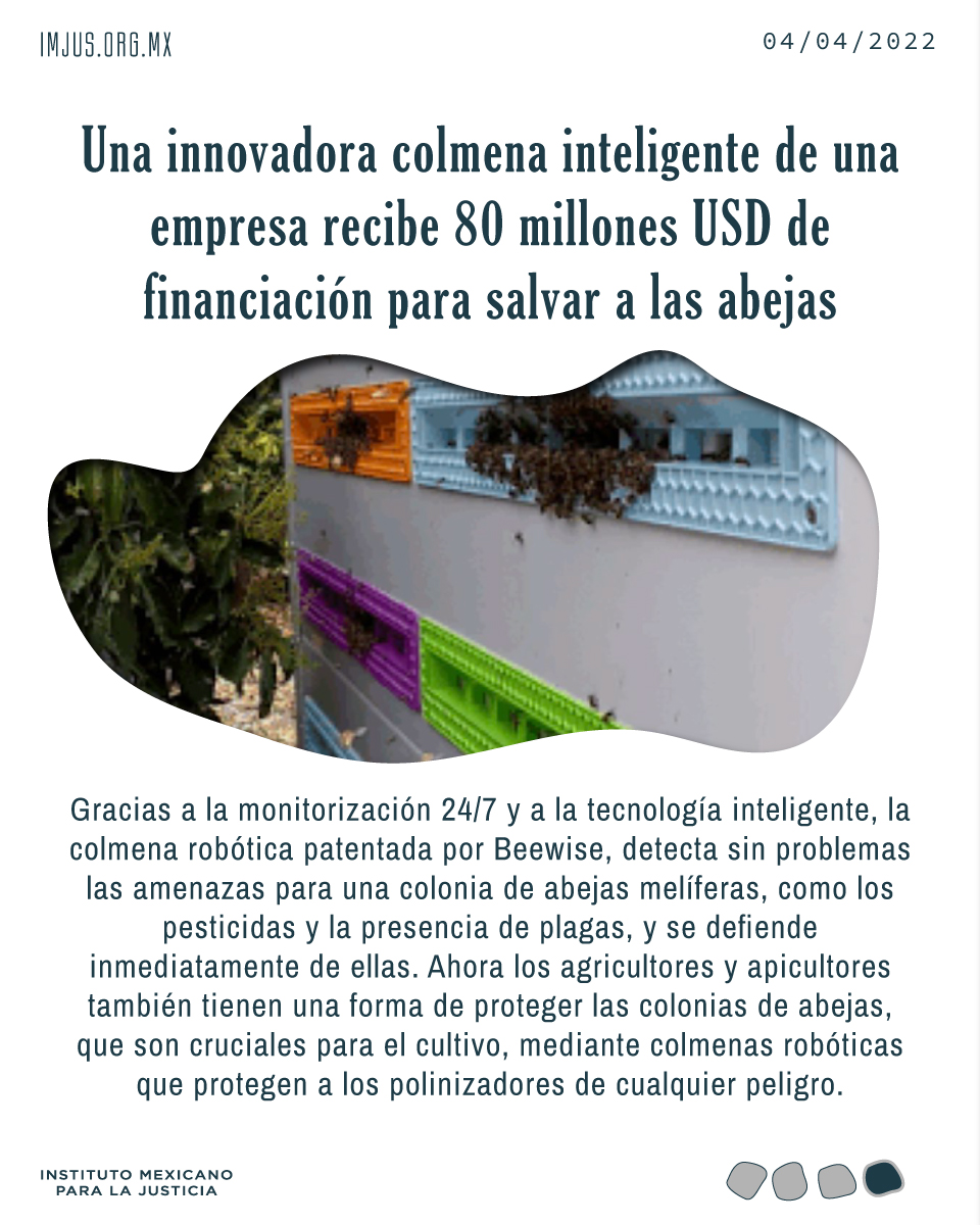 Instituto Mexicano Para La Justicia tweet media