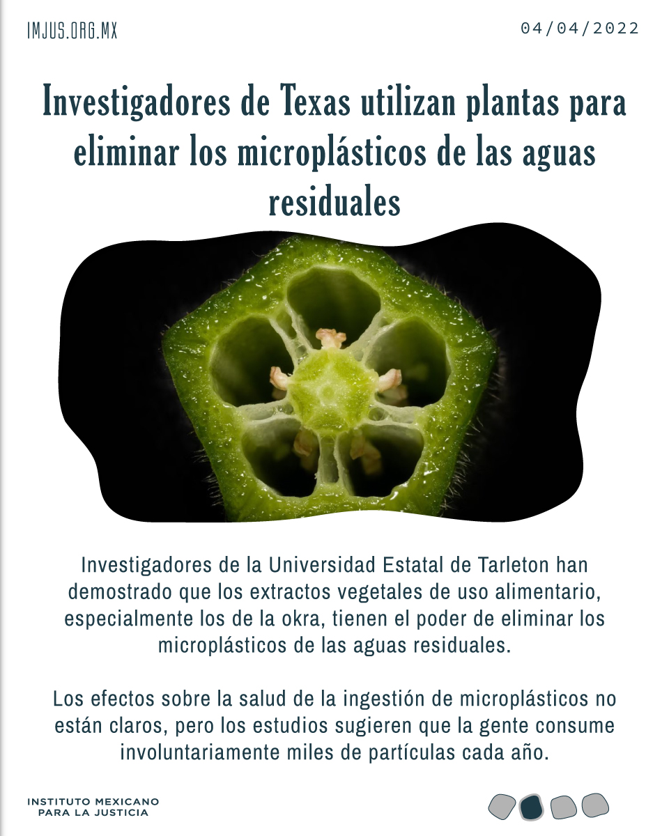 Instituto Mexicano Para La Justicia tweet media