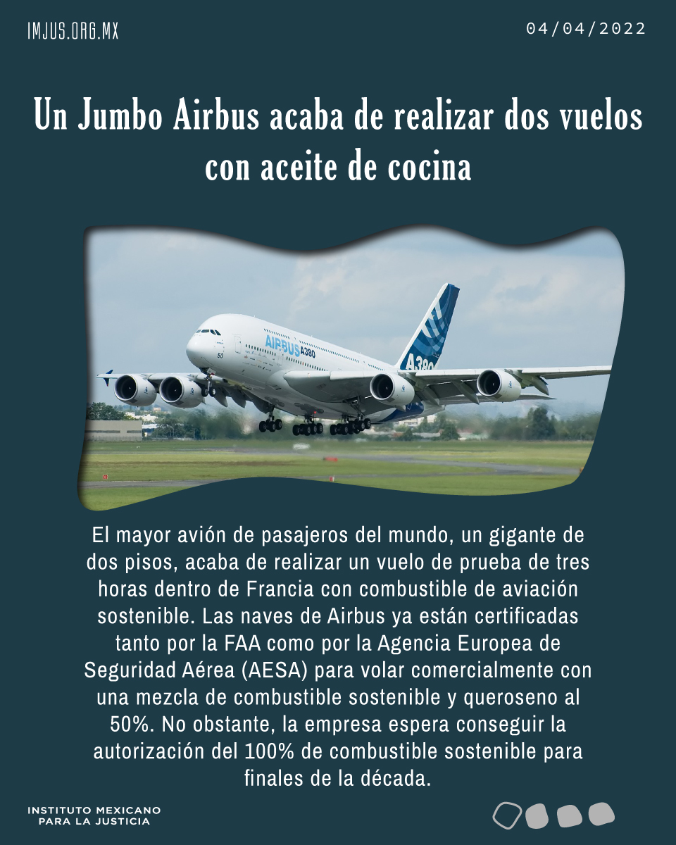 Instituto Mexicano Para La Justicia tweet media