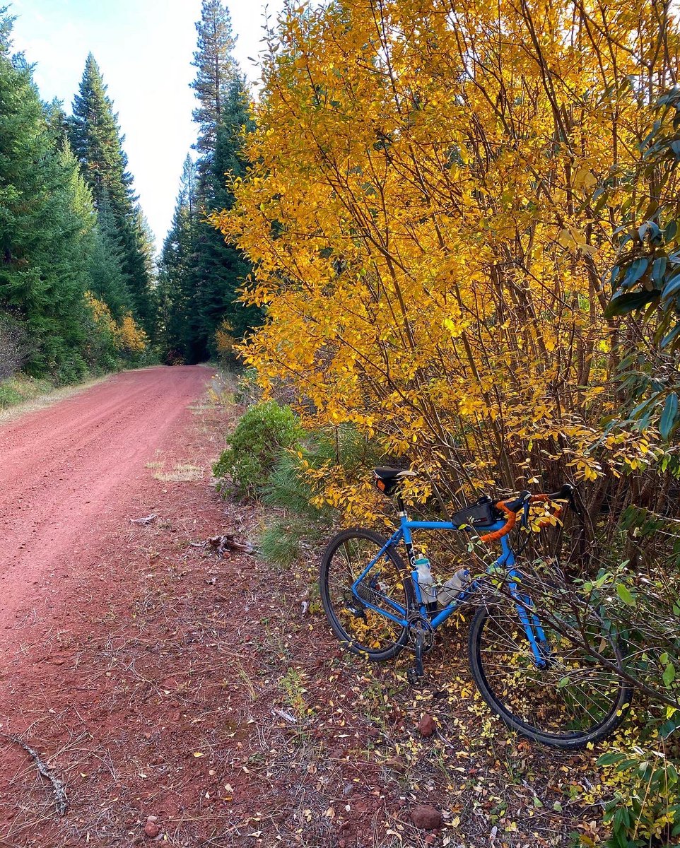 I’m putting on gravel rides again. Here’s the calendar. Link to routes. April 9th- Greenhorn 
April 23rd- Upper Klamath/Copco
May 7th- Trestle Loop
May 22nd- Jenny Creek 
June 5th- Big Elk
July 10th- Greensprings
July 31st- Whiskey Springs.

https://t.co/dAnFhWAQfh https://t.co/QkxBnNziEy