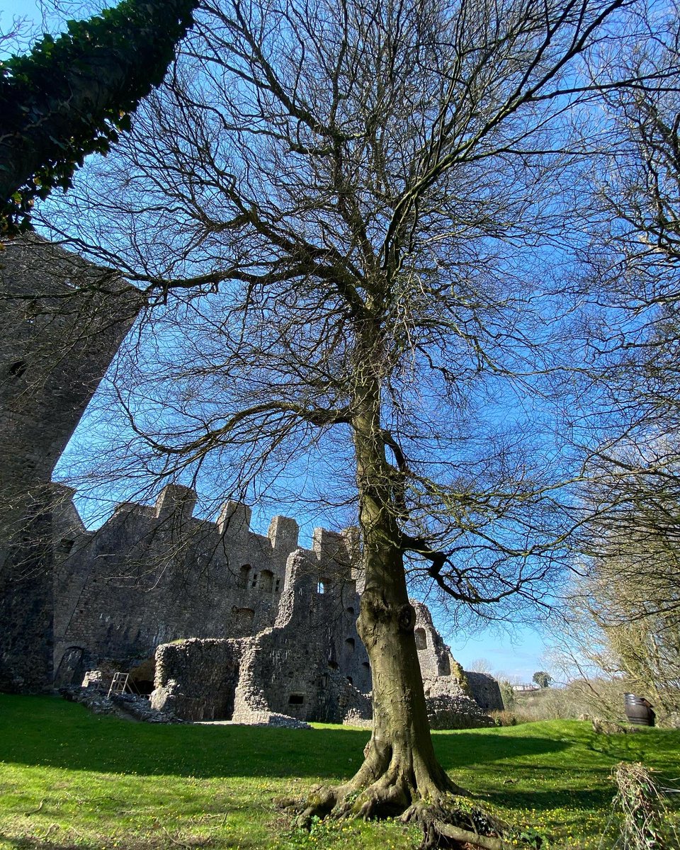 replay_images's tweet image. Oxwich Walk - April 2022
#oxwich #oxwichbay #Oxwichcastle #iphonephotograph #Gower