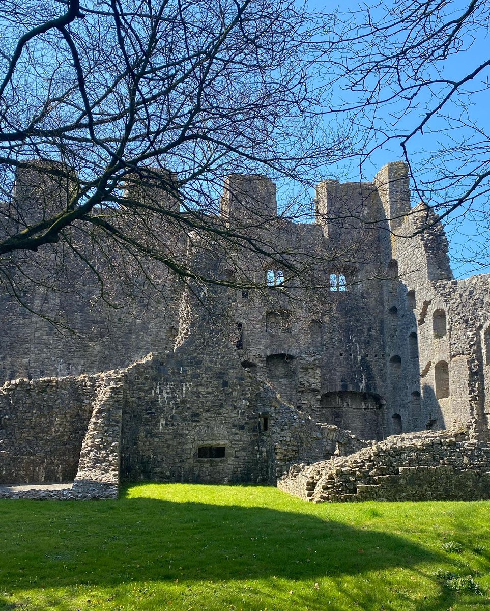 replay_images's tweet image. Oxwich Walk - April 2022
#oxwich #oxwichbay #Oxwichcastle #iphonephotograph #Gower