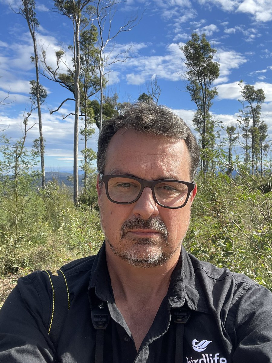 Sean Dooley tweet media