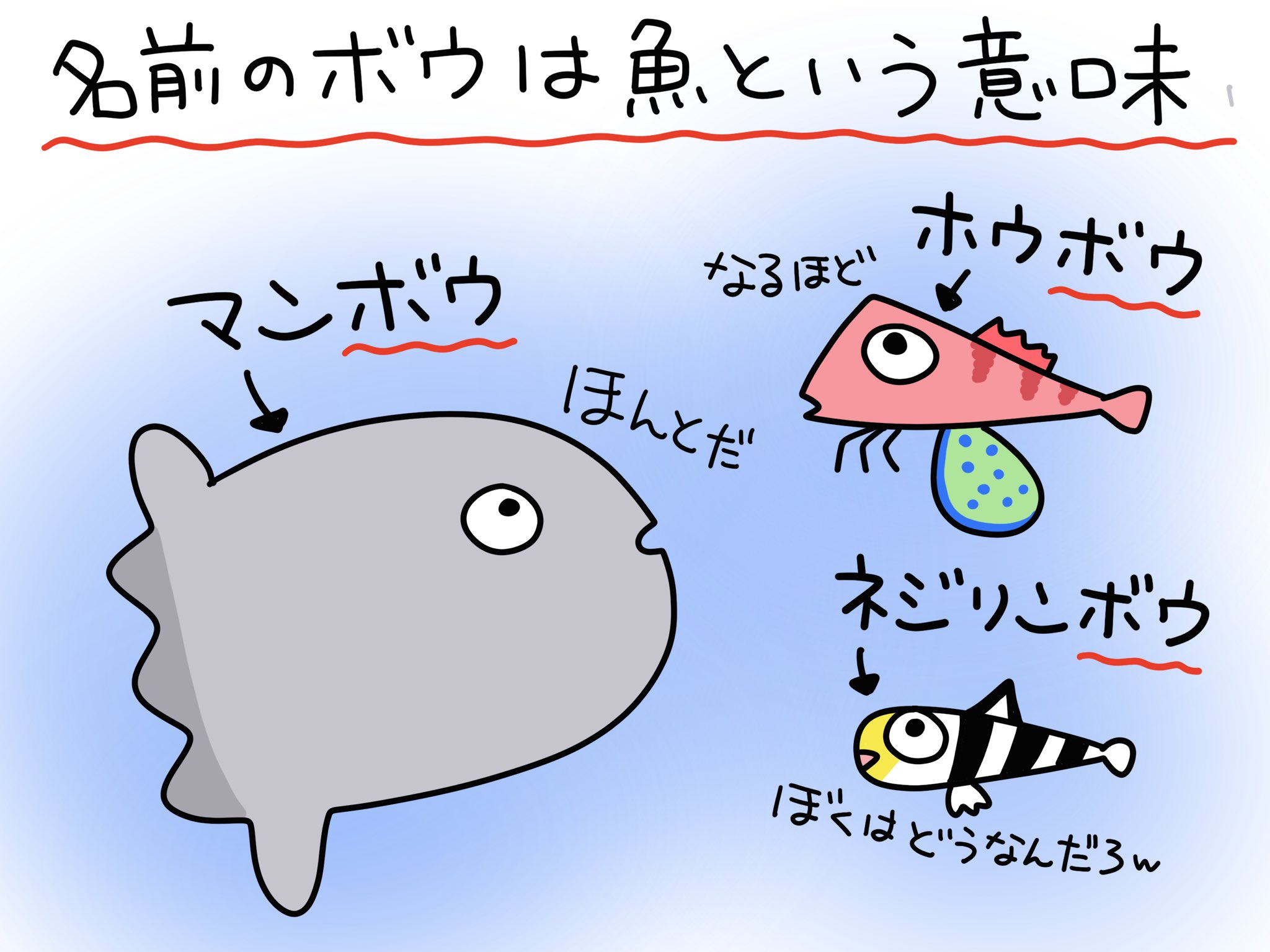 ふくちゃん 魚のイラスト マンボウやホウボウの ボウ は 魚 を表しているそうです ちなみにネジリンボウは分かりません 魚のイラスト イラスト 海の生き物 マンボウ ホウボウ ネジリンボウ ダイビング T Co 6glbj3x1io Twitter