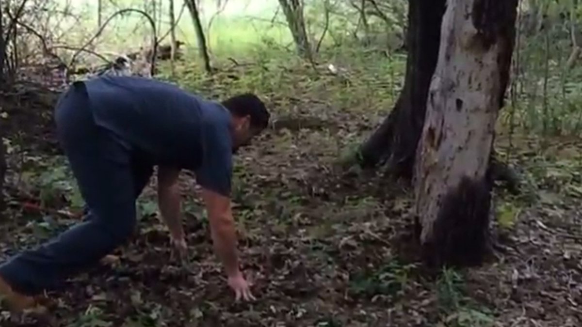 Sam Storll tweet media