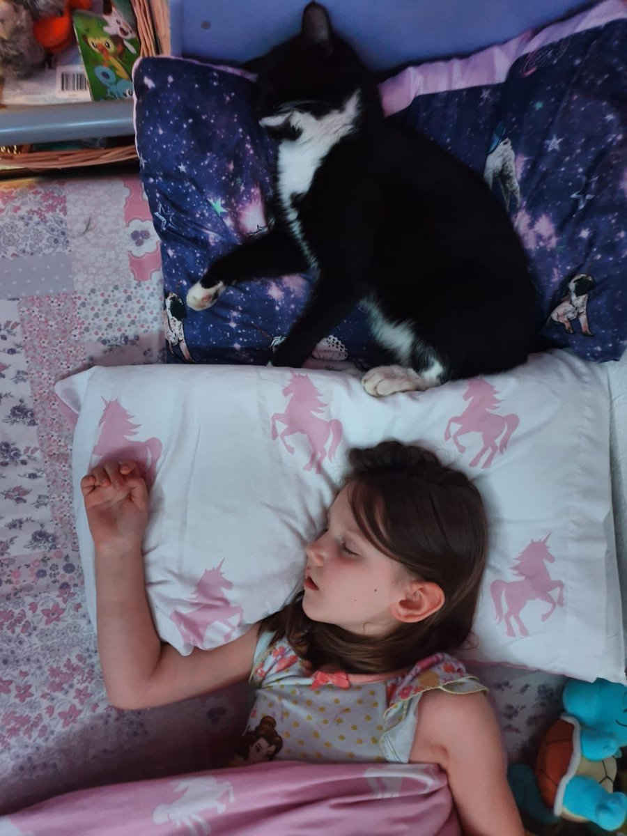 xo_sare's tweet photo. @clhubes My Rocky and his bestie 🥺 https://t.co/2bjJfIGNm9