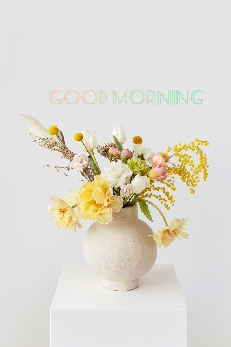 RathoreSayar's tweet photo. Gud morning https://t.co/Des3iOU5Ml