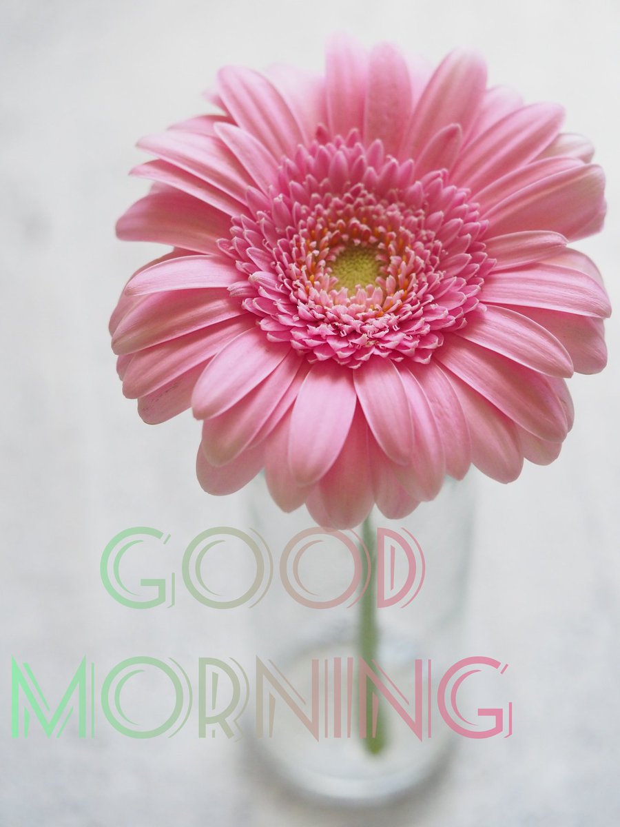 RathoreSayar's tweet photo. Gud morning https://t.co/Des3iOU5Ml
