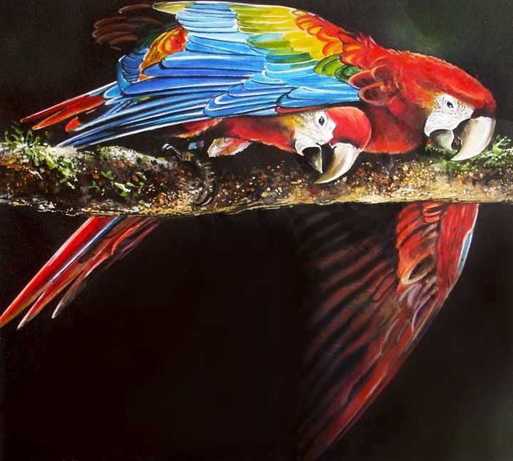 HammerDwight's tweet photo. Featured Art of the Day: "Macaws". Buy it at: https://t.co/PqeR5shAAh https://t.co/ezGZuqUXN0