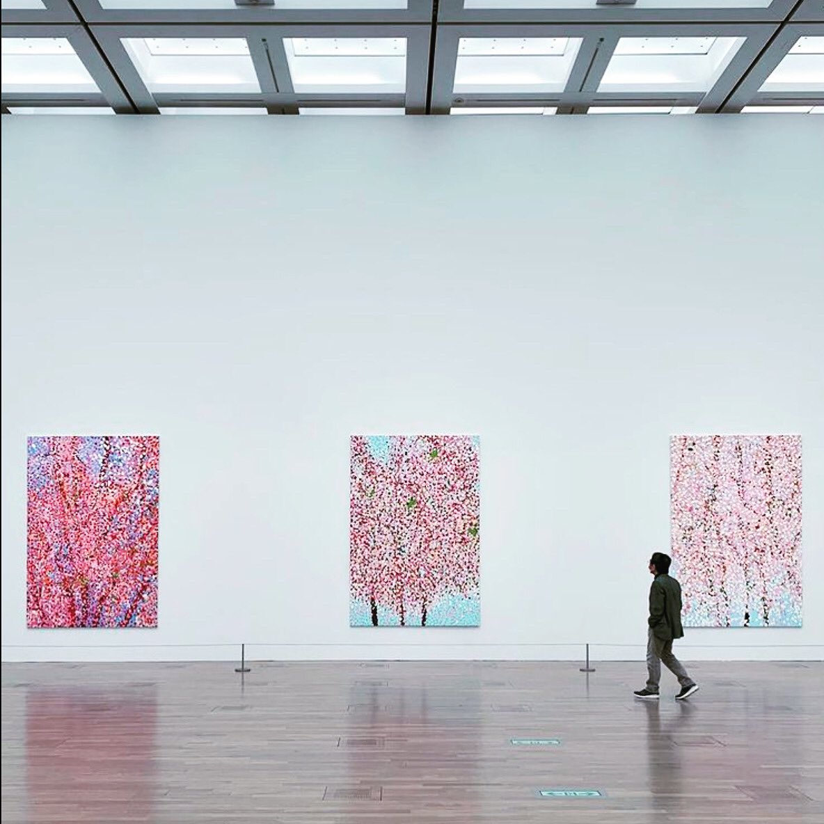 #DamienHirst  #桜  #新国立美術館  #六本木  #東京ミッドタウン