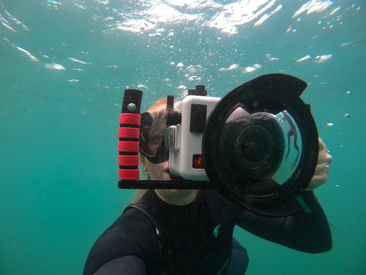 Rachel Sandquist tweet media