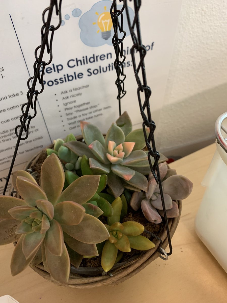 CanvasKidsArt's tweet photo. Bringing nature into the classroom makes us feel more connected and understanding of it. #teacher #ecisdtweets #ectweets #ecproud! #saladopatriots https://t.co/SVmjRtvJwq