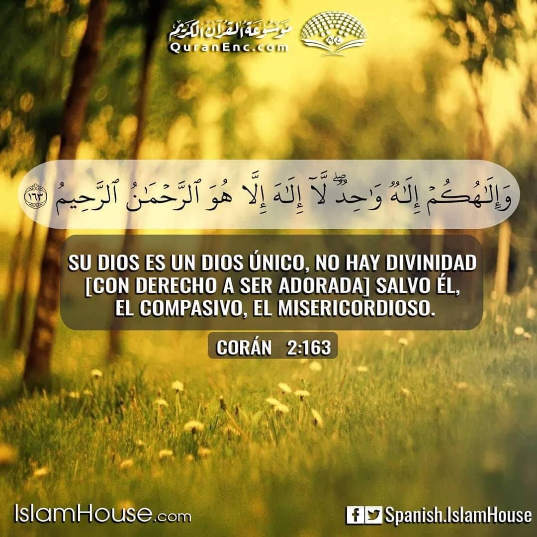 IssaFawza's tweet image. #BIGBANG_StillLife
#FelizLunes
ASTRO AND AROHA AS ONE
PIKETONA IS COMING
#JoseRamonLopezBeltran44
#EsfuerzoyExito
Lunes 4