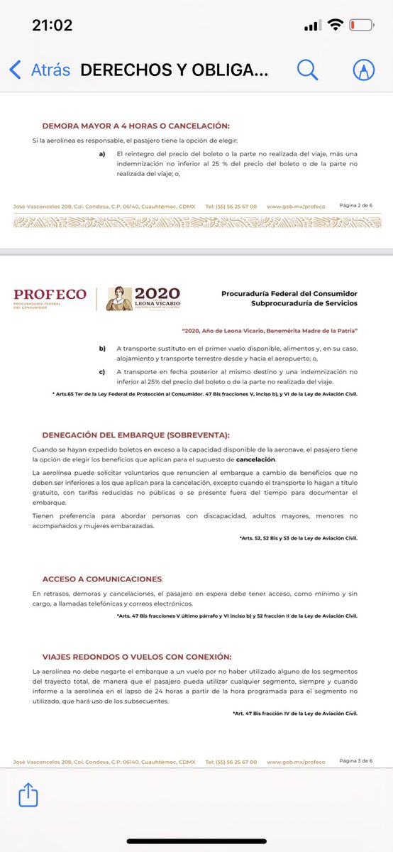 sofia capetillo tweet media