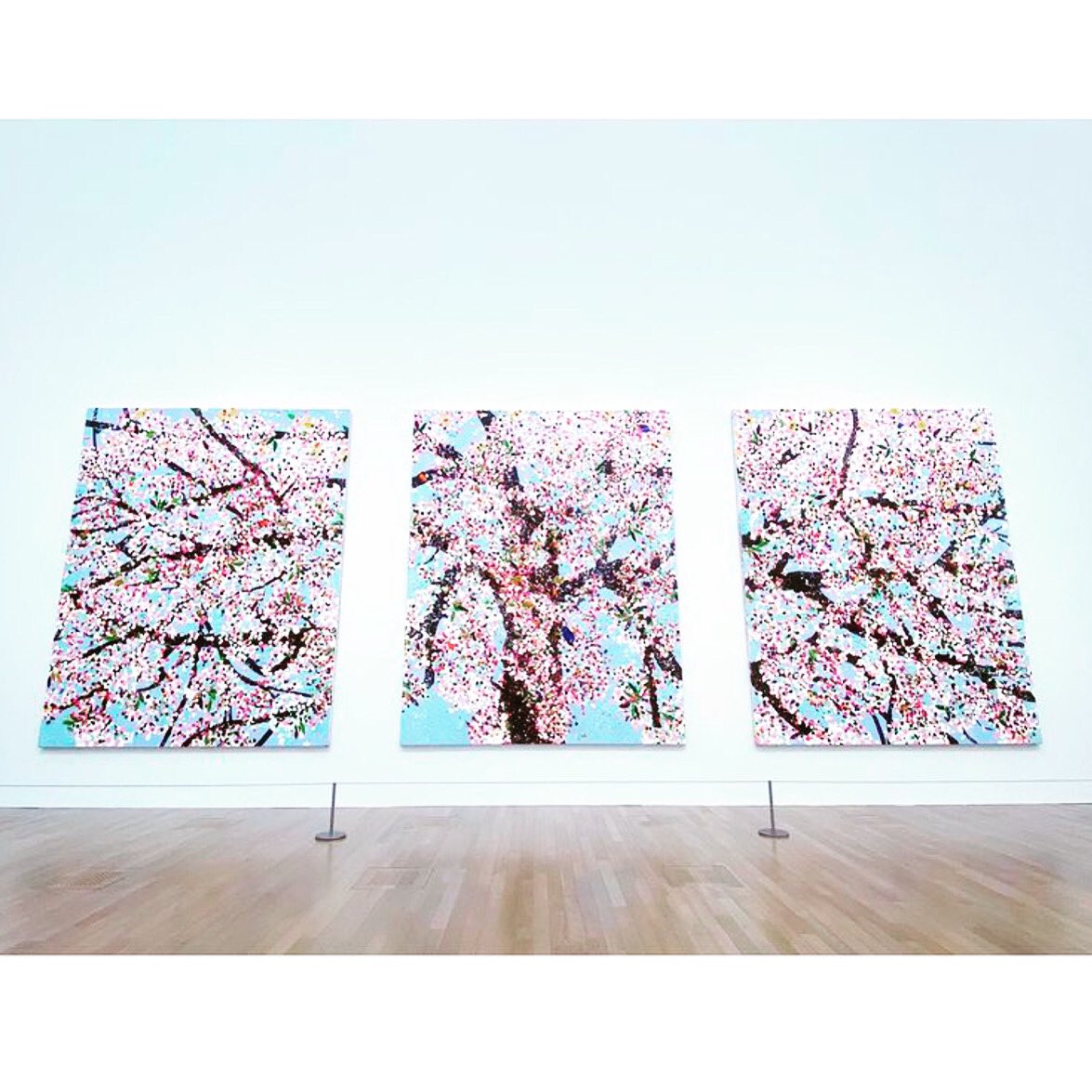 *

心に 美味しいスイーツをあたえてきた……

六本木 国立新美術館
『ダミアンハースト桜』Damien Hirst展
美しい桜のアートを見てきた
遠くからみても近くから見ても美しい

 5月23日まで展示開催してるよ
たまには 心をほっこりさせるのにイイな
ぜひ行ってみて ( ⁎ᵕᴗᵕ⁎ )

#東京ミッドタウン