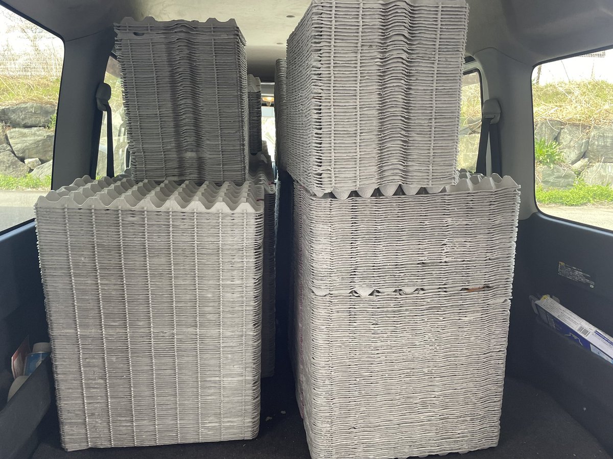 ForPet410's tweet photo. いつもご発注頂きありがとうございます！

本日は卵パック仕入れてきました🥚
コオロギの住処が大量です！🦗

#フタホシコオロギ
#爬虫類好きと繋がりたい https://t.co/M5VjYKPny6