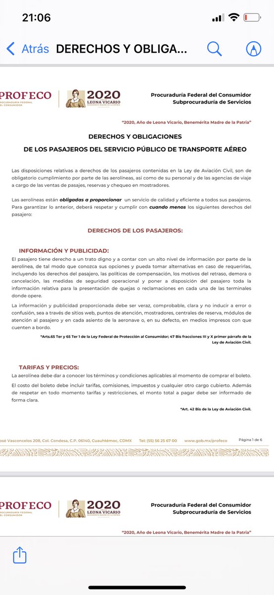 sofia capetillo tweet media